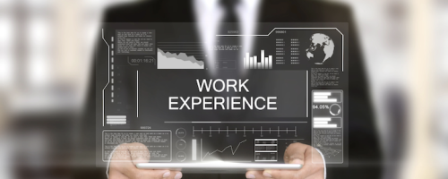 Work Experience